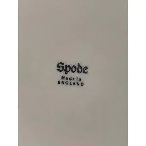 Spode | Dining | Spode England 15 In Copeland Rosebud Chintz Pasta ...